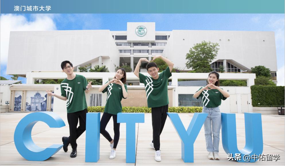 2024新澳门天天开好彩大全,统计数据详解说明_KKF50.133时尚版