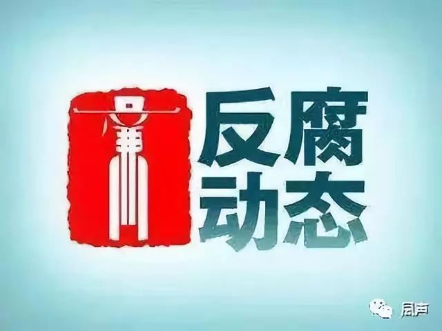 甘肃反贪最新动态,贪腐无处遁形,日常趣事传递爱与陪伴的力量