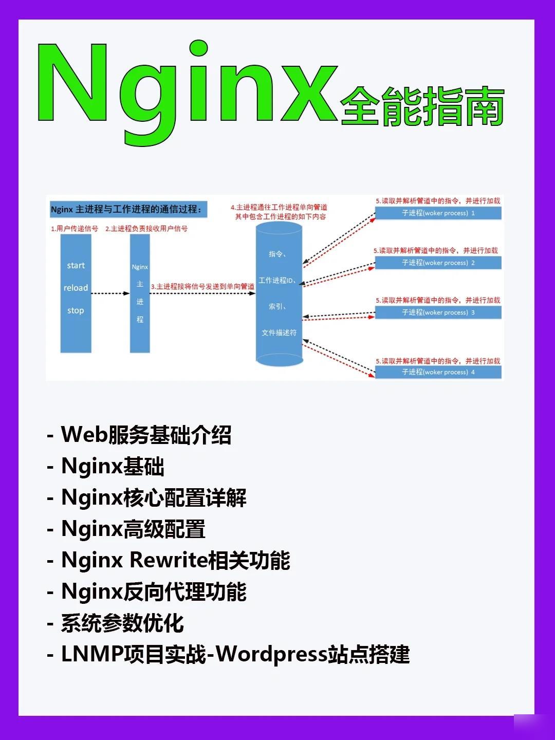 保健品 第484页