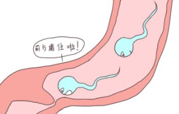 小巷中的独特风味探索记，探寻无精最新资讯与体验
