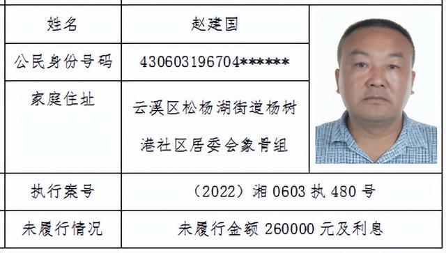 岳阳市最新老赖查询与应对指南，初学者到进阶用户的必备指南