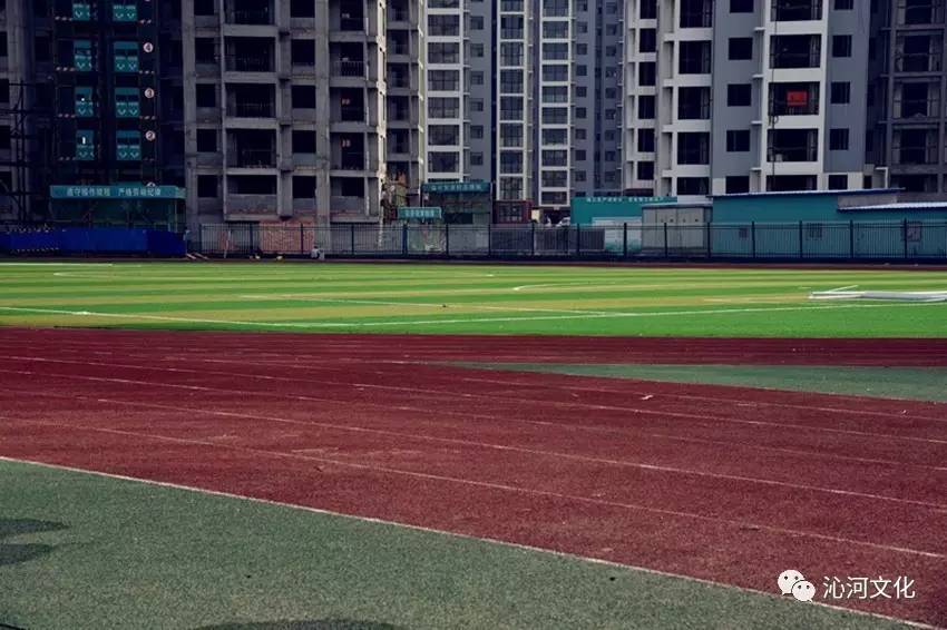 最新下拍中学设施,小巷中的独特风景与隐藏的特色小店揭秘