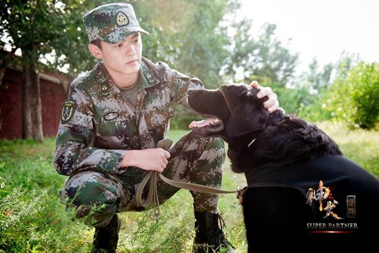 神犬奇兵演员阵容全揭秘，小巷中的星光宝藏探寻者