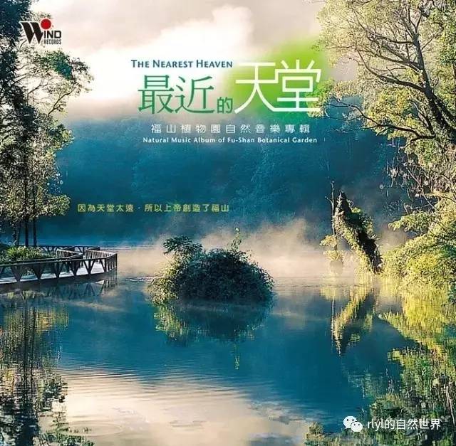 深度探讨,最新天堂的背景、重要事件与地位