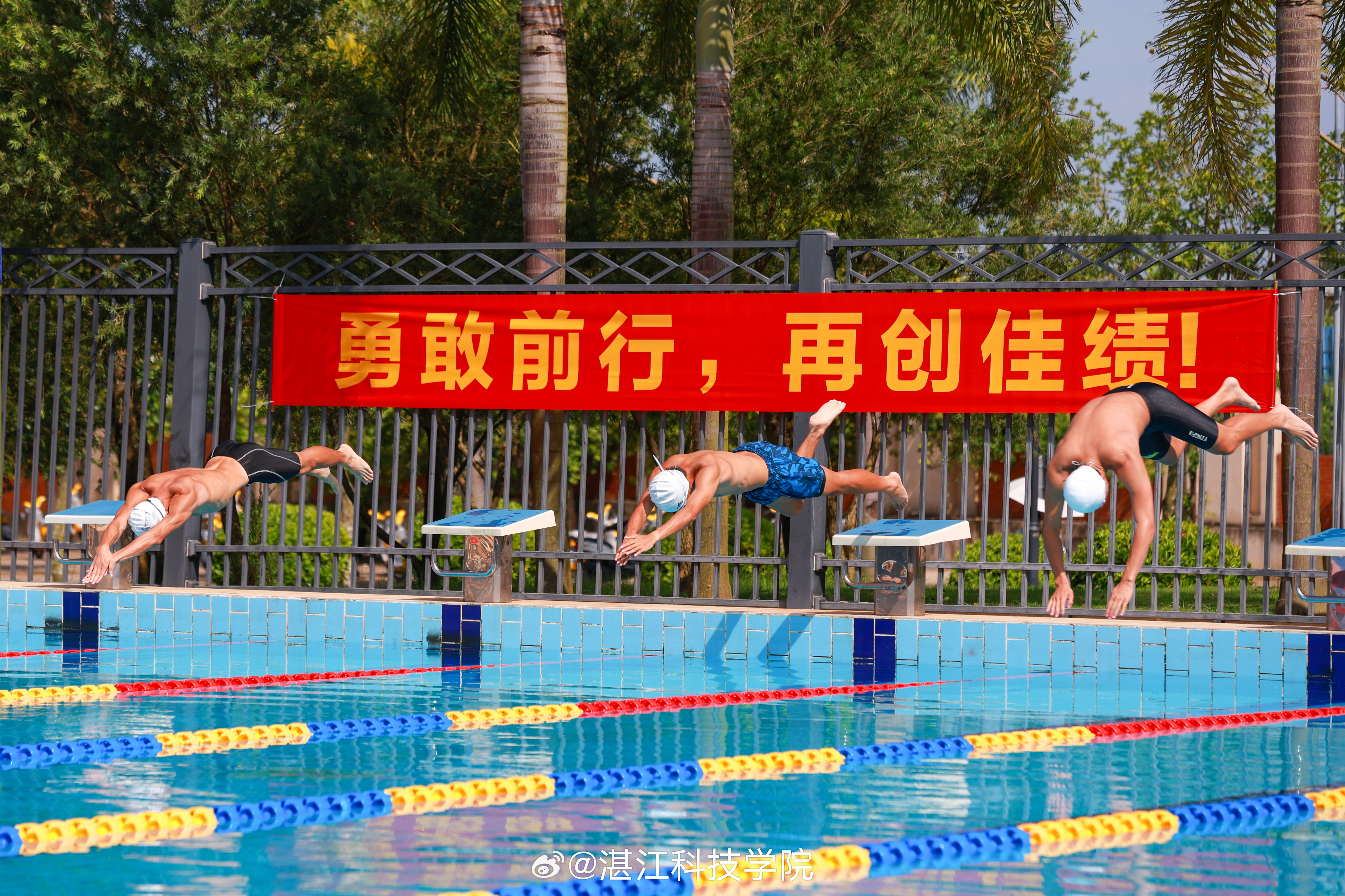 激发潜能,水上逐梦,游泳比赛口号喊响挑战巅峰之音!