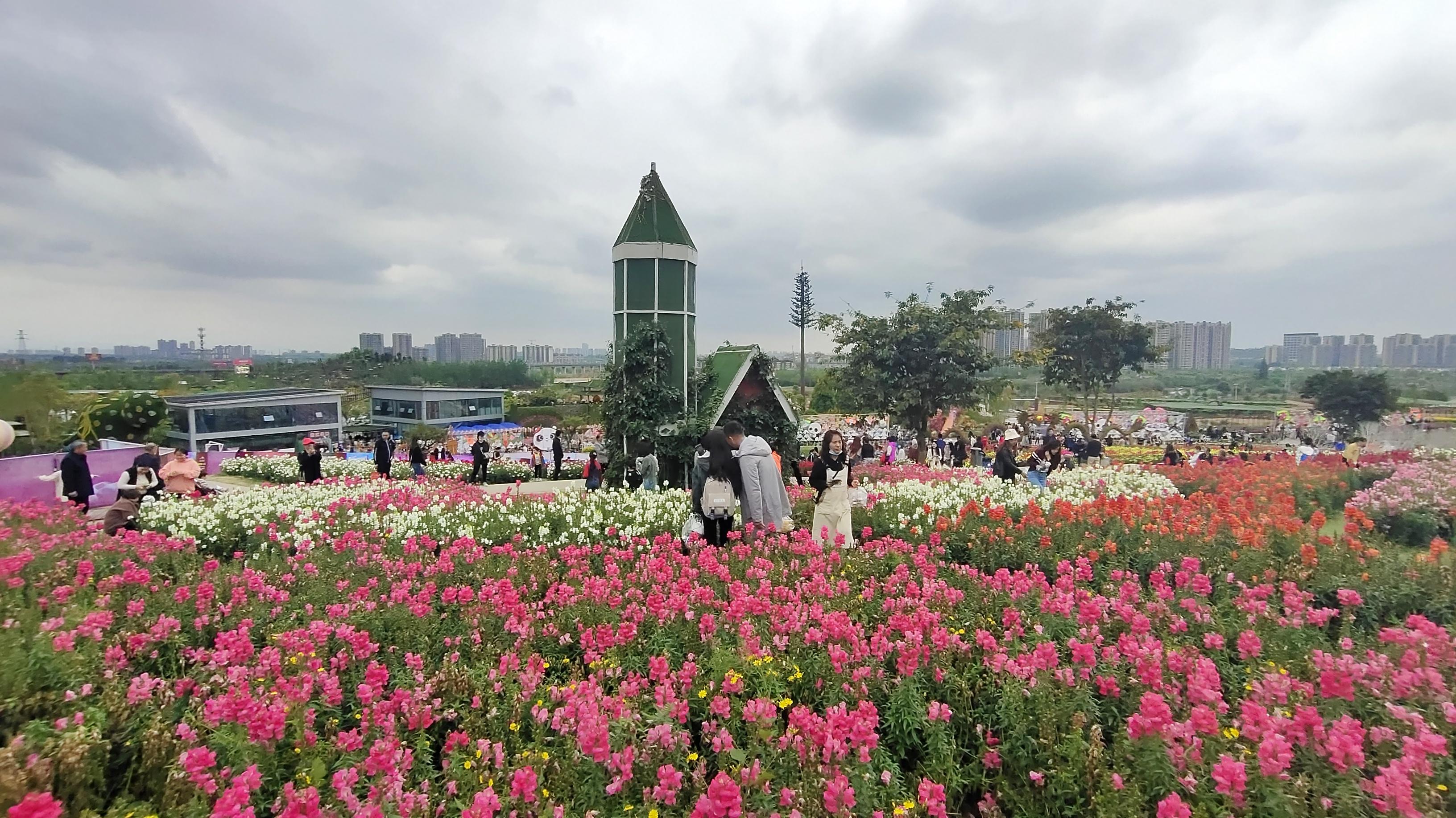 成都音乐比赛，音符中的温情与陪伴之旅