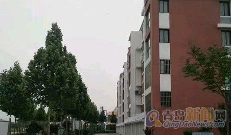 五A添盛坊青稞原浆 第227页