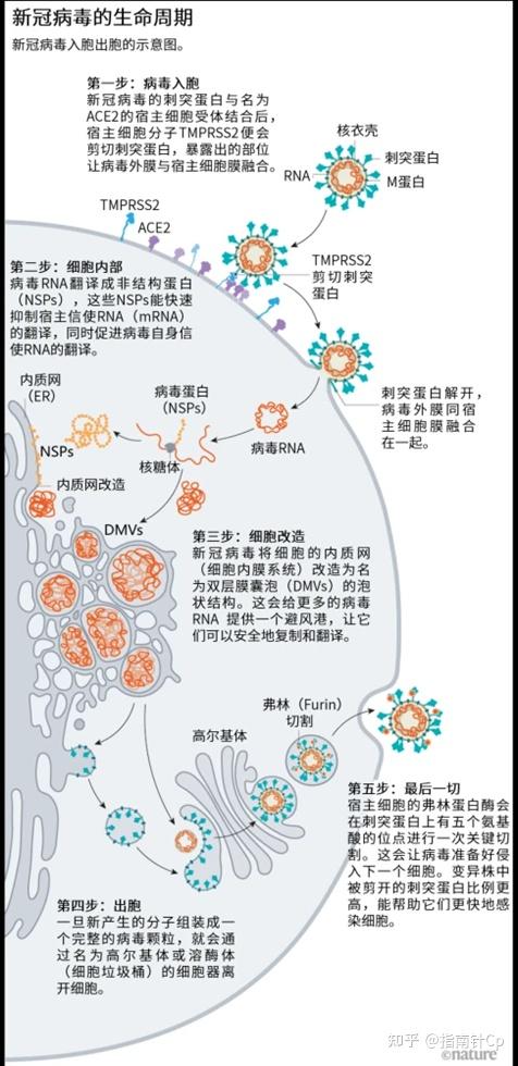 白酒 第204页