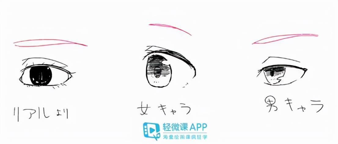 零基础也能学会动漫眼睛画法教程,小红书教你如何绘制动漫眼睛👀!