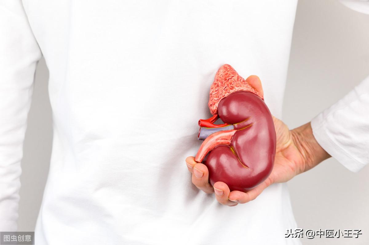 粉防己最新价格解析,获取与理解价格信息的指南