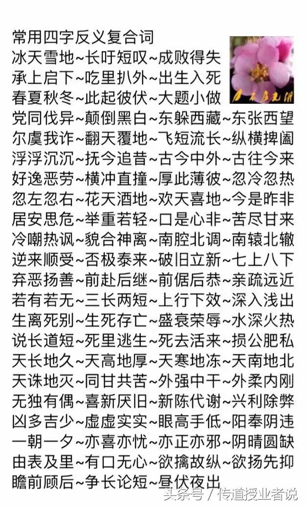 语言进化微观视角下的最新近义词研究