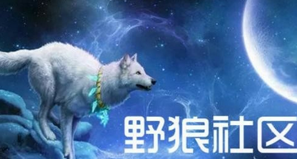 野狼社区最新动态，学习变化，自信塑造未来