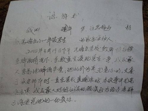 交通事故谅解书最新探索与小巷深处的特色小店探秘