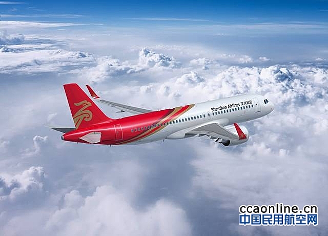 小巷深处的独特风情,最新深情飞