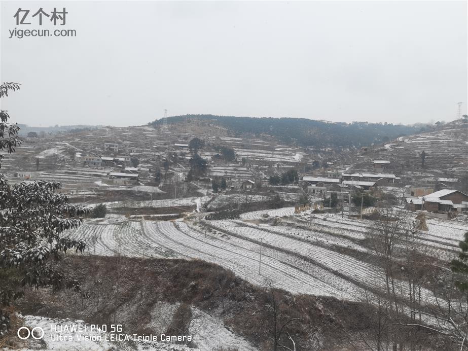 寨中村最新探索，自然美景的迷人之旅
