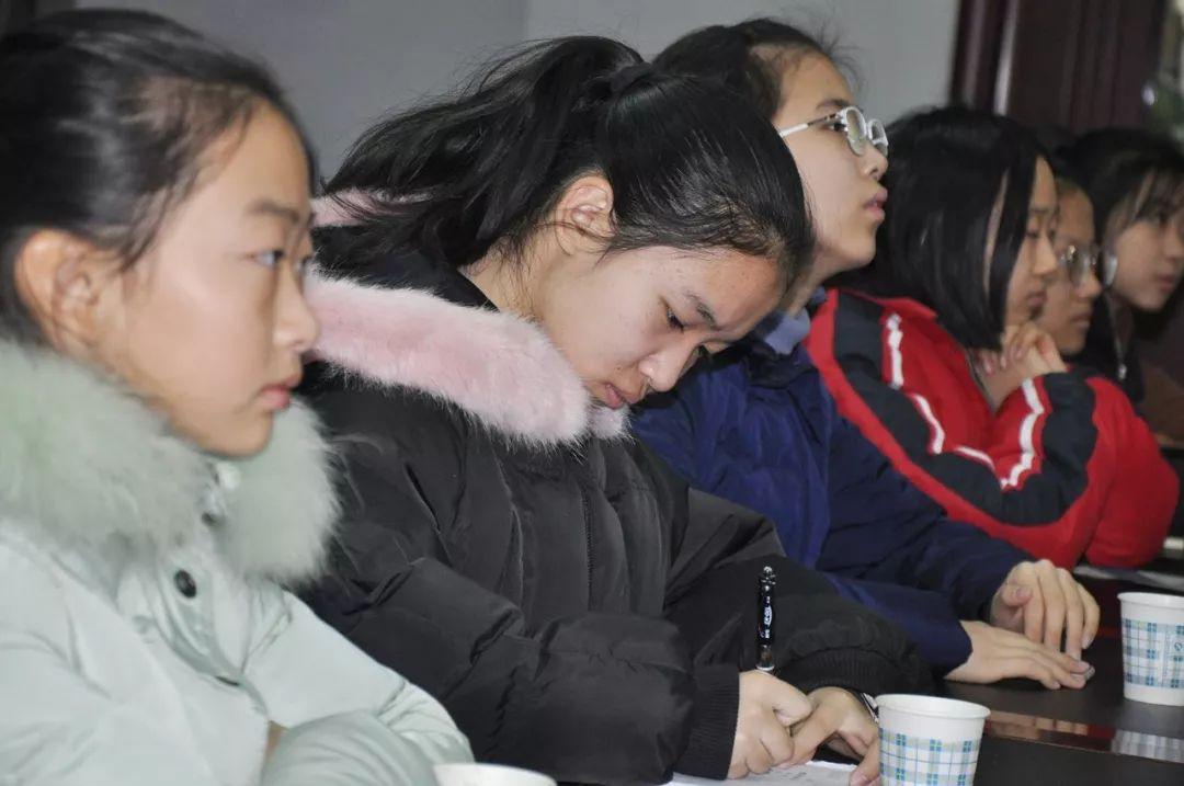 最新云顶手机,日常趣事与情感纽带分享时刻