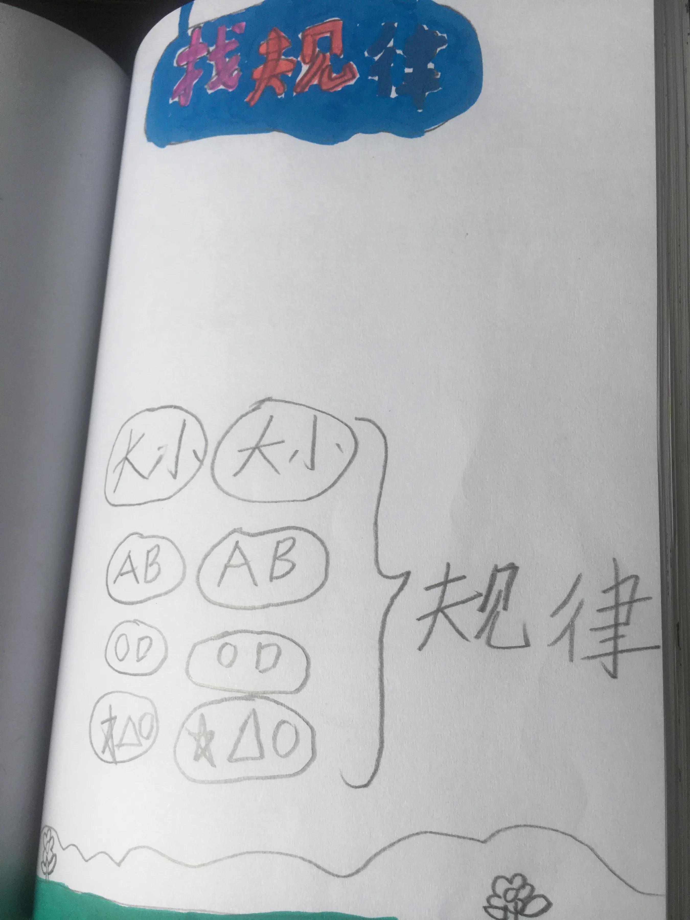 探索世界秩序之美，最新找规律揭秘！
