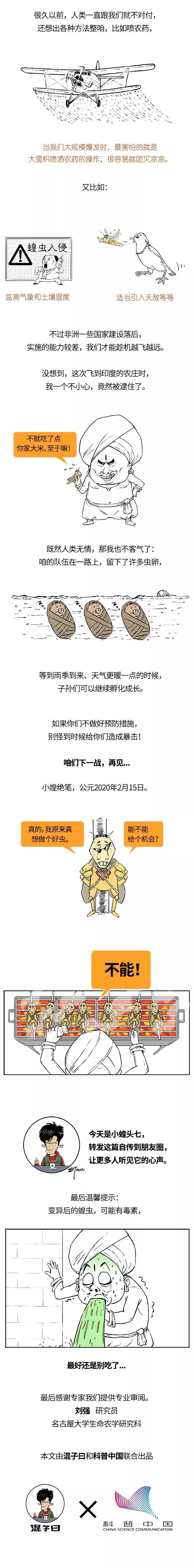 蝗虫最新报告，虫灾中的希望与温馨故事