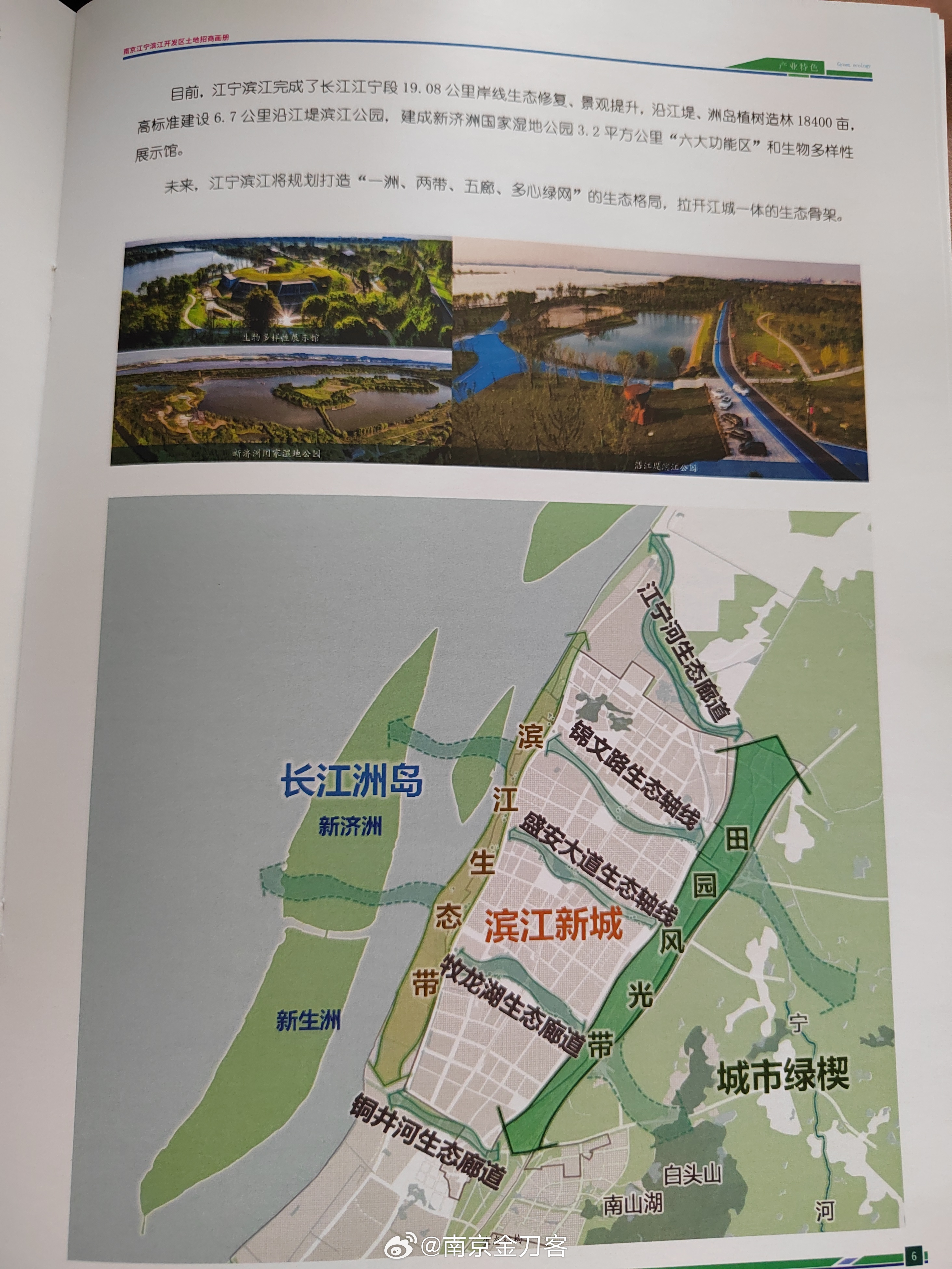 滨江最新发布，小巷深处的惊喜——隐藏的特色小店