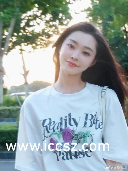 最新H在线现象，多维视角的深度解读与探讨