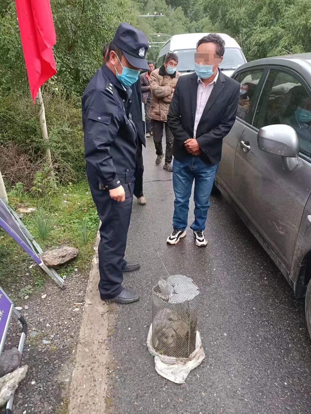 最新旱獭病毒揭秘，小巷深处的神秘宝藏探寻之路