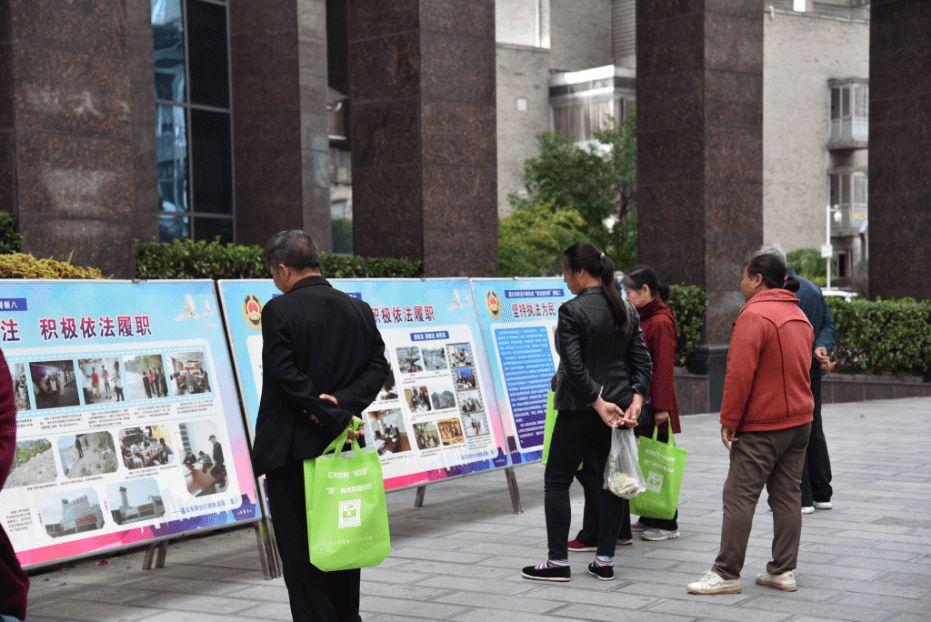 新时代文明养犬规定,引领犬类友好生活新风尚