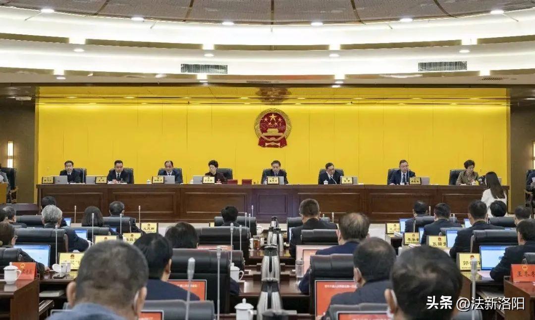 洛阳最新一批任免,观察与探析报告