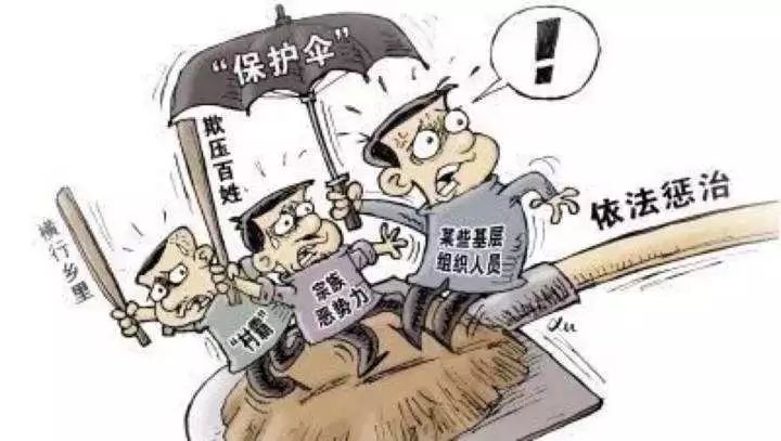 最新扫黑除恶消息大全，全面指南与步骤详解