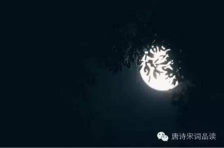 八月夜最新,夜的魅力与独特风情展现