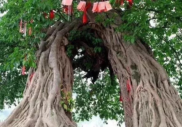 嗨漫社最新版,自然美景的治愈之旅探索启动