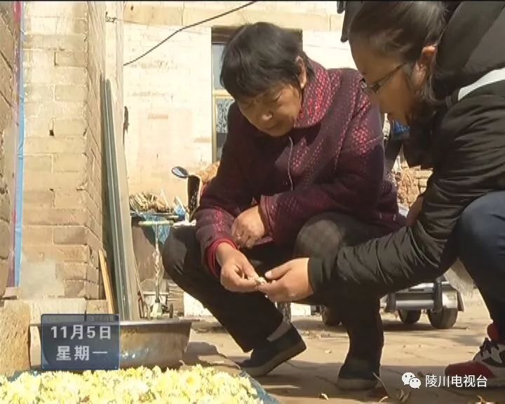 第1634页