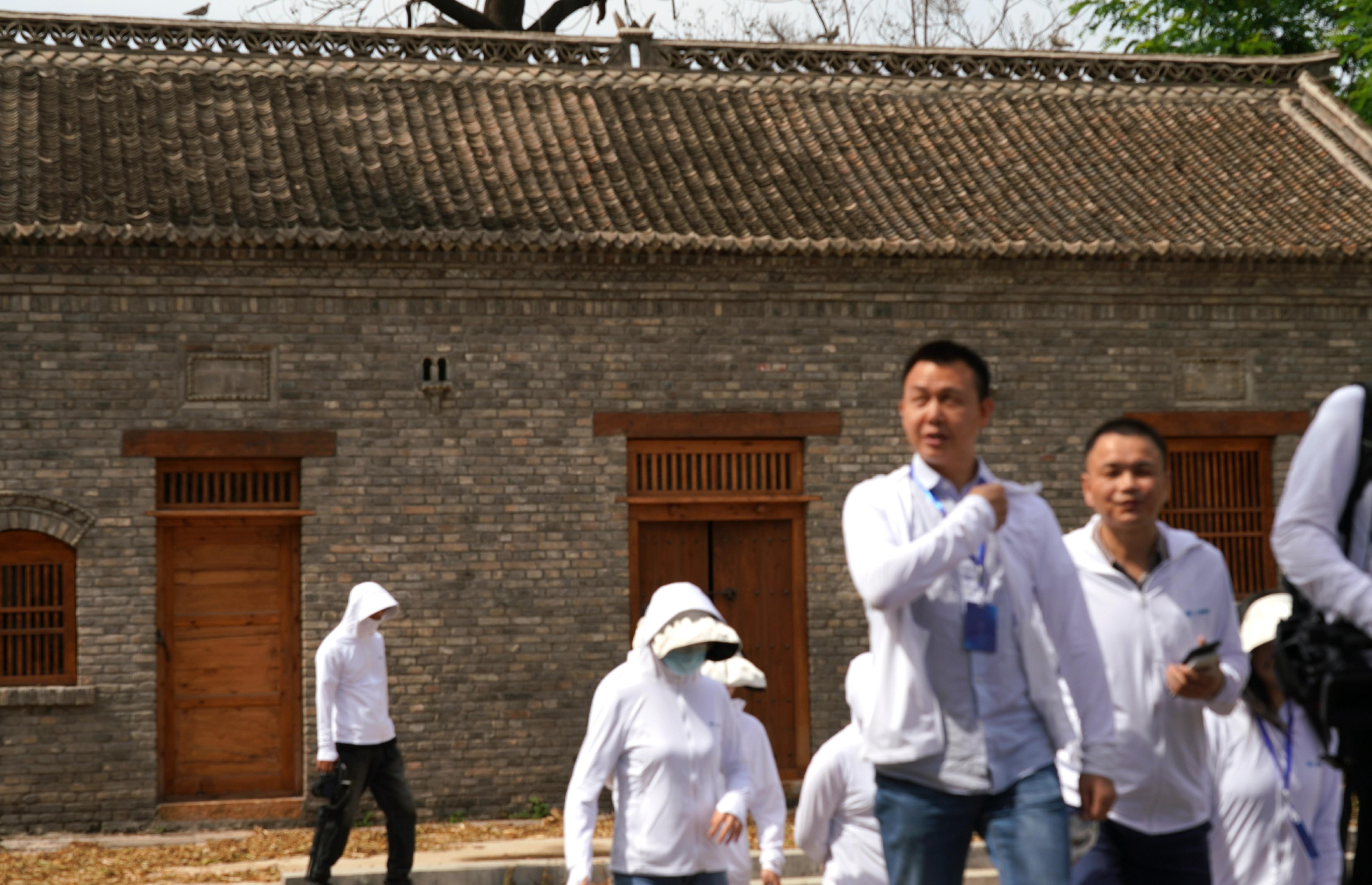 棕榈股份股票最新动态更新，最新消息汇总