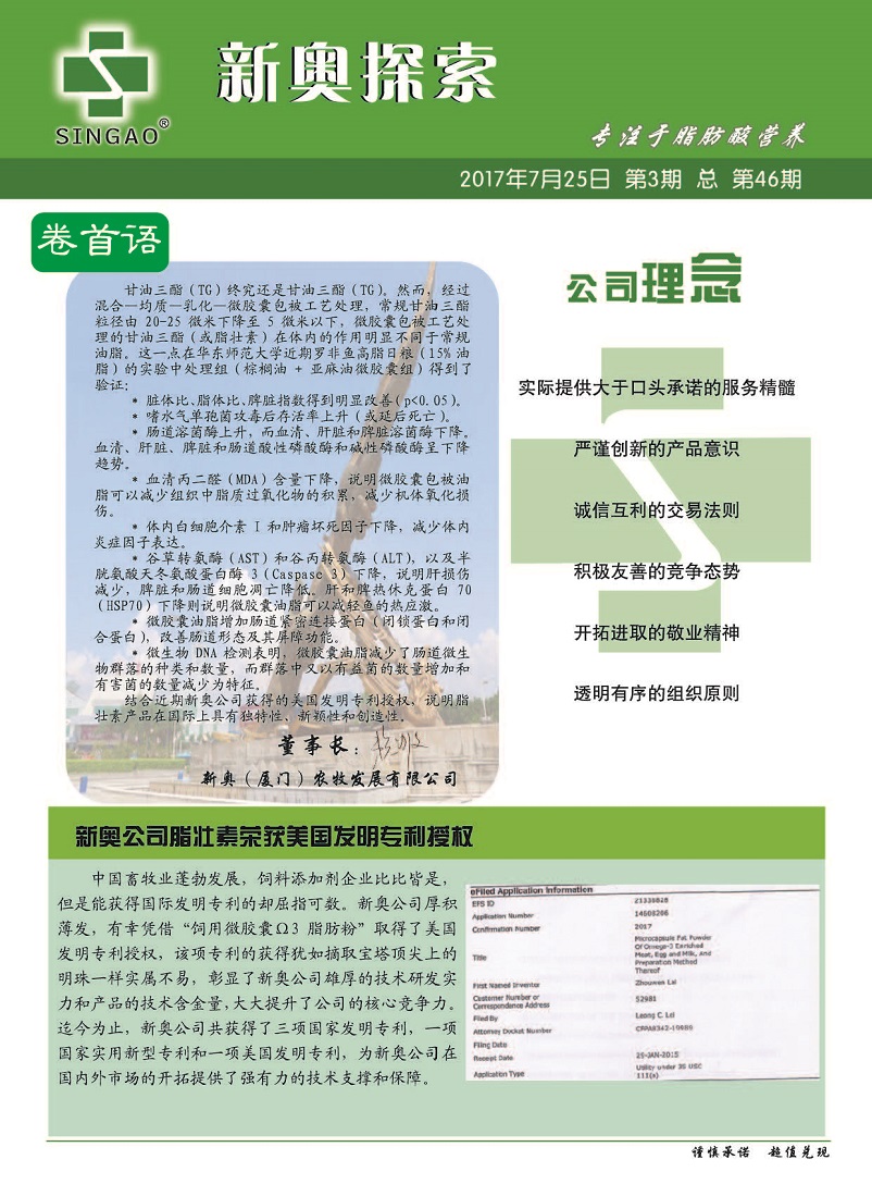 新奥天天免费资料单双,精细化方案决策_公积板22.281