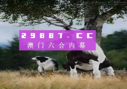 2024澳门跑狗图最新版今天104,实地验证实施_强劲版66.140