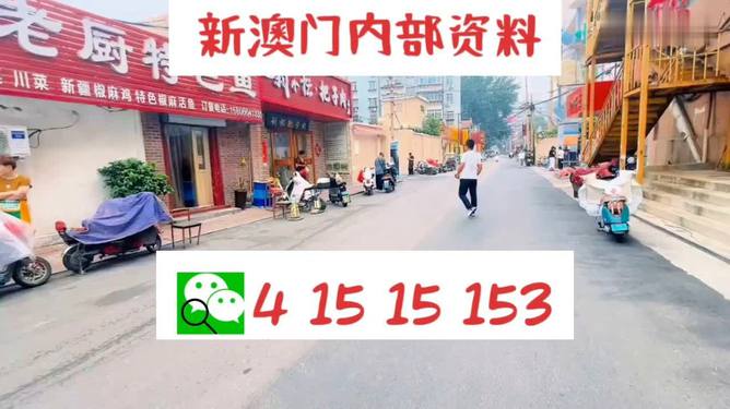 2024澳门天天开好彩大全.,稳健设计策略_旅行版7.263