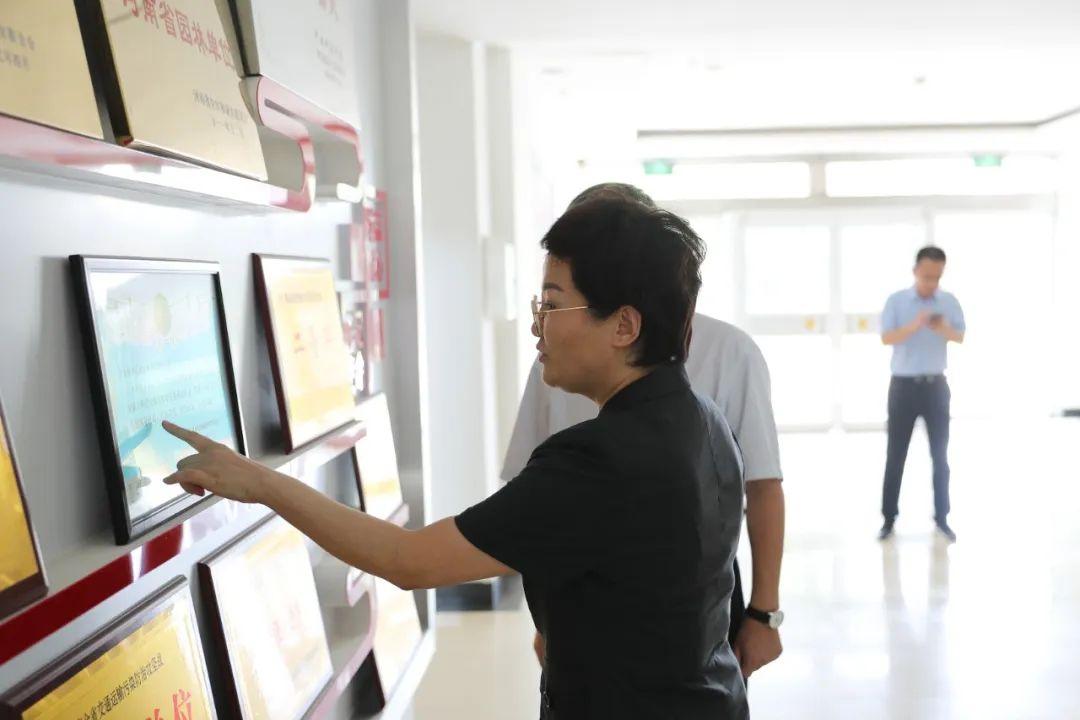 濮阳高速最新动态，交通进展与消息速递🚗🛣️