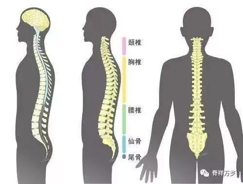 第1264页
