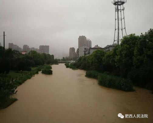 肥西暴雨下的温情故事最新报道