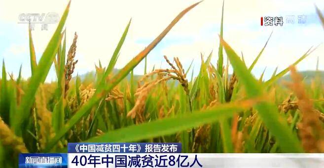 中国脱贫最新动态，持续推动脱贫攻坚成果巩固与发展✨