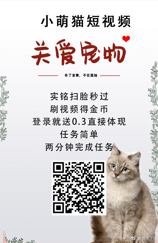 猫咪视频最新版破解涉黄问题警示，传播低俗敏感内容违法违规，需警惕风险。