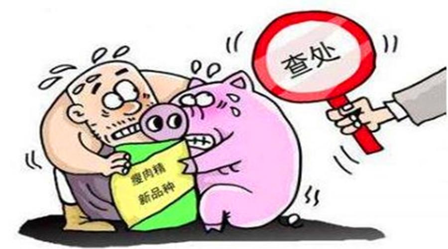 第1126页