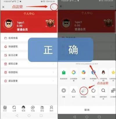 最新十大热门网址探索，揭示当今互联网最受欢迎的网站