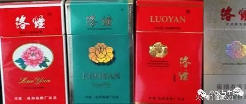 烟的最新品牌，友情与陪伴的温馨篇章