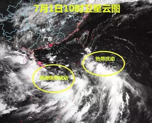 南海最新胚胎91w，高科技引领生活新纪元变革