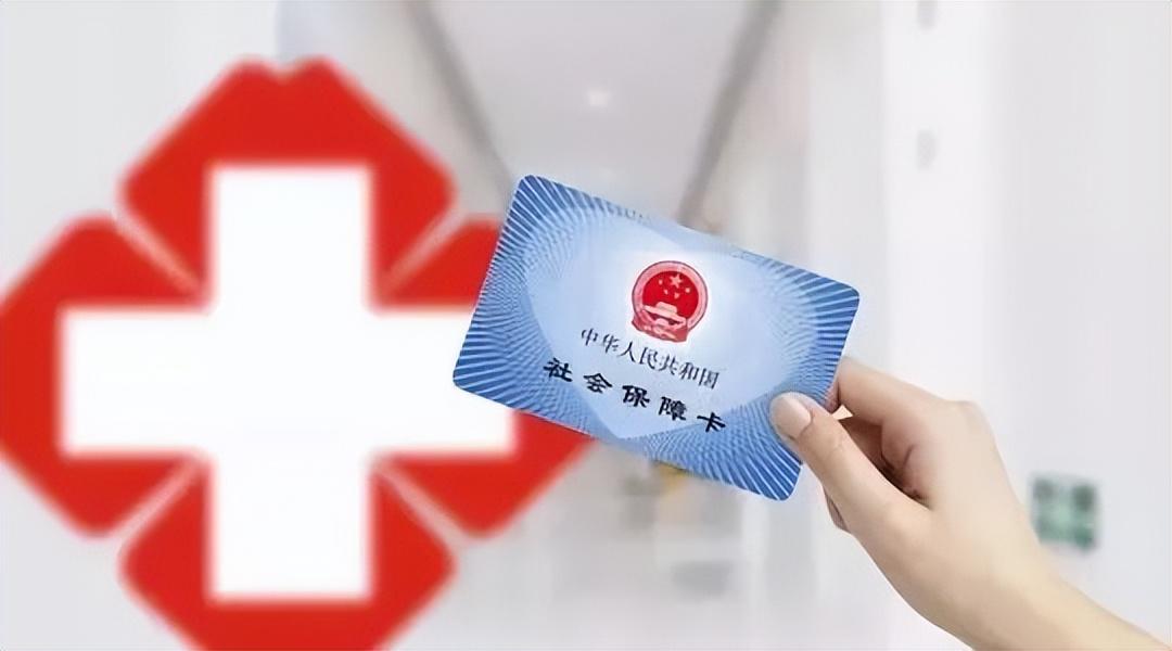 那卡最新动态，获取与运用技巧的全面步骤指南